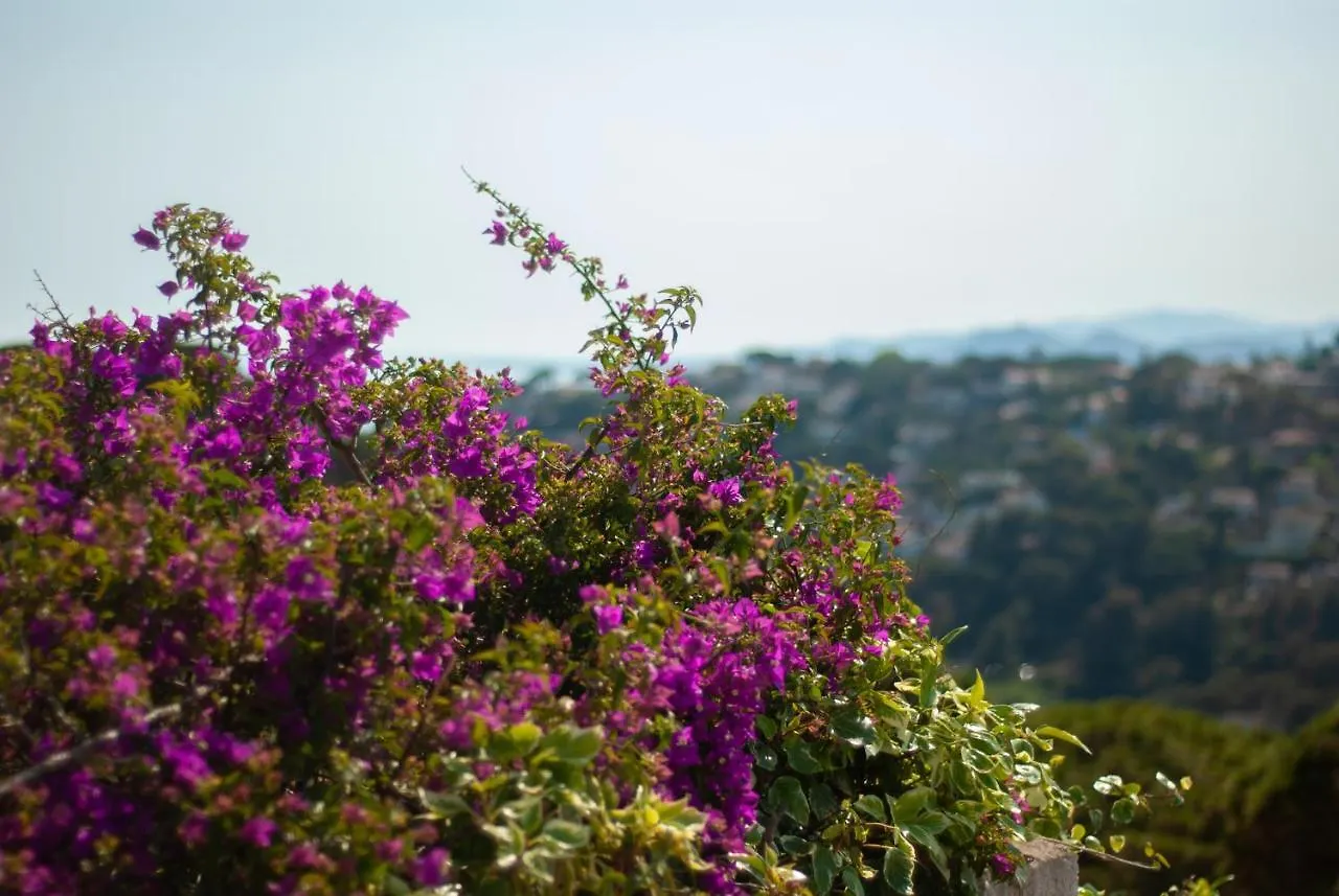 Holiday home Santa Monica - Energia Mediterranea Tossa de Mar